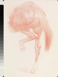 Kicking Off, Series 4, 2012